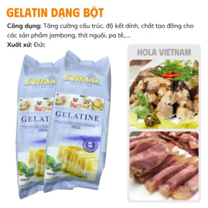 gelatin dang bot