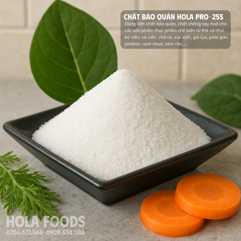 cong dung chat bao quan hola pro25s