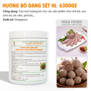 HƯƠNG BÒ DẠNG SỆT HL-6300GE